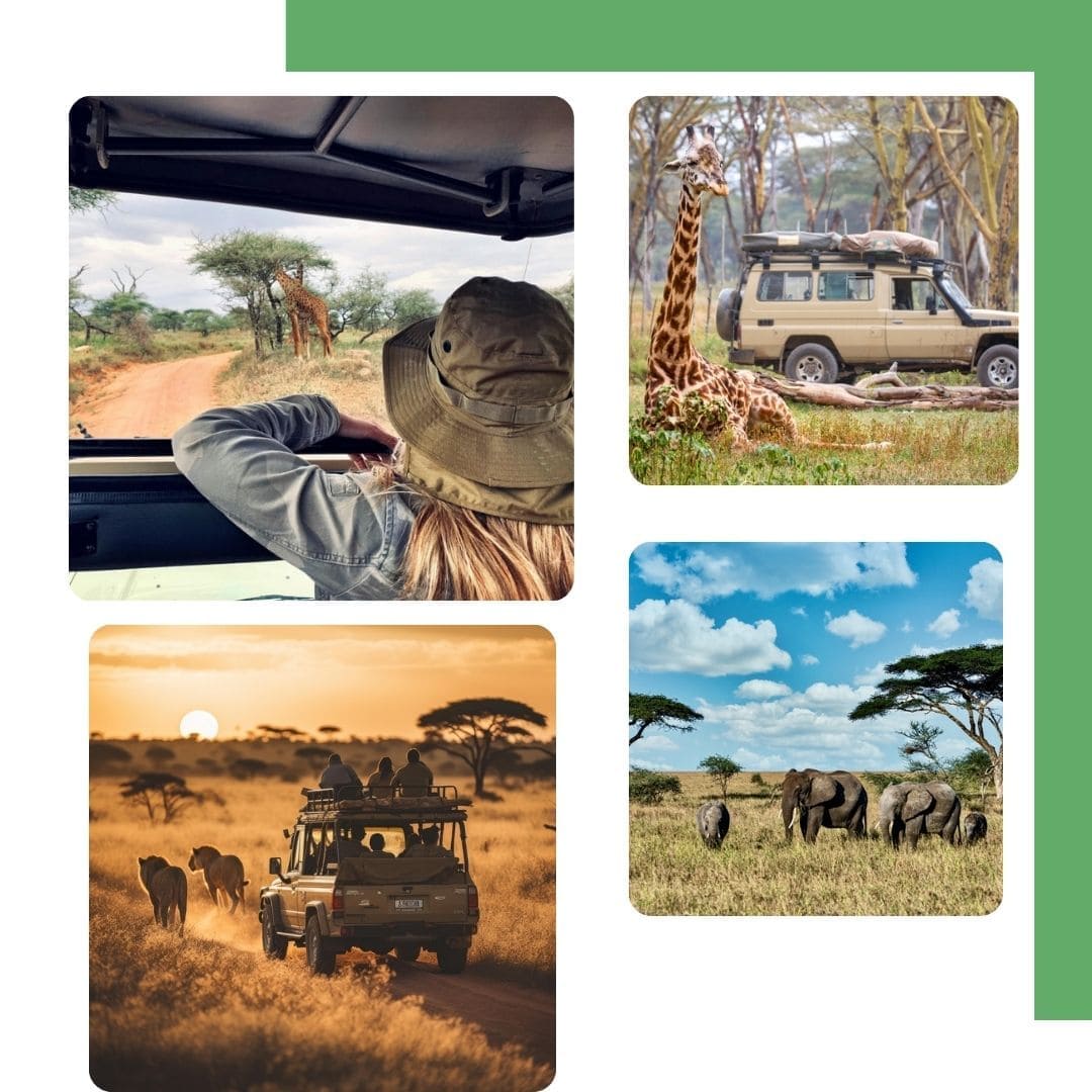 <h2 style="font-size: 45px; font-weight: bold;     line-height: 1.1;     margin-bottom: 0;">Let’s know About Our Journey For<span style="color:#63AB45"> RAFIKI TOURS</span></h2>