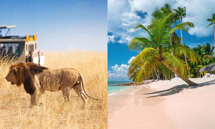 5 Days Tanzania Wildlife Safari: Fly out to Zanzibar